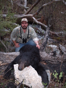 Montana guided bear hunt