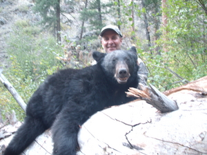 Guided black bear hunt