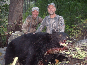 Montana bear hunt